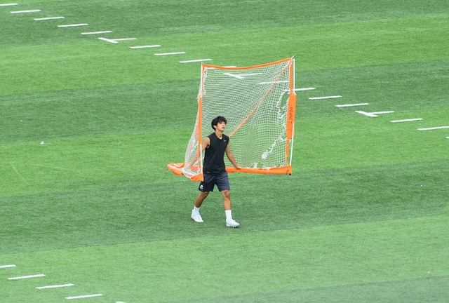 他们的实力